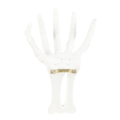 Halloween Skeleton Hand Wall Hook