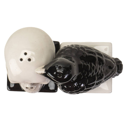 Quoth the Raven Salt and Pepper Shaker Set