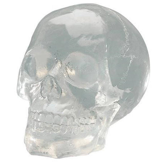 Crystal Translucent Skull Head