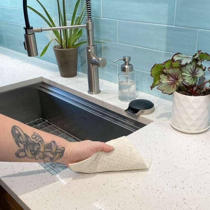 Raccoon Swedish Dish Cloth